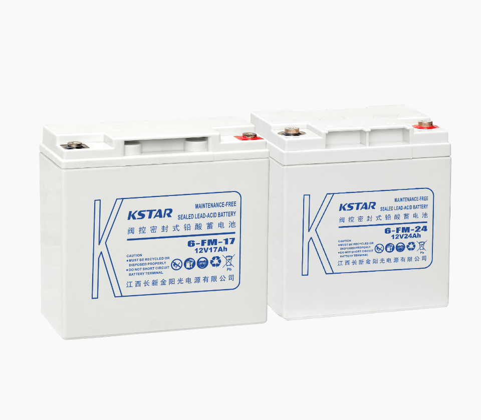 FM小型密封电池系列